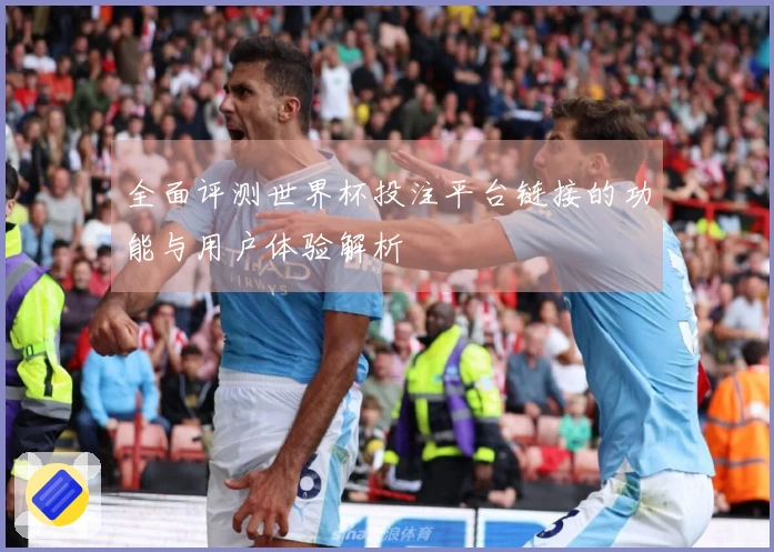 全面评测世界杯投注平台链接的功能与用户体验解析