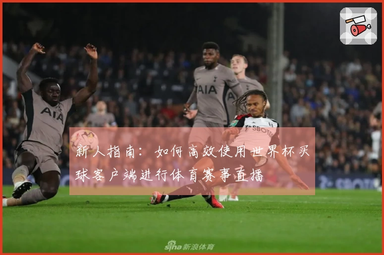 新人指南：如何高效使用世界杯买球客户端进行体育赛事直播