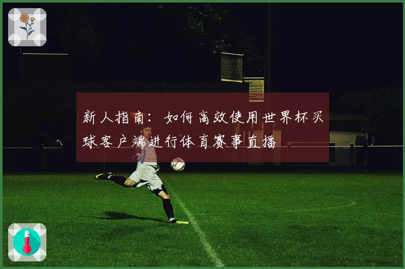 新人指南：如何高效使用世界杯买球客户端进行体育赛事直播