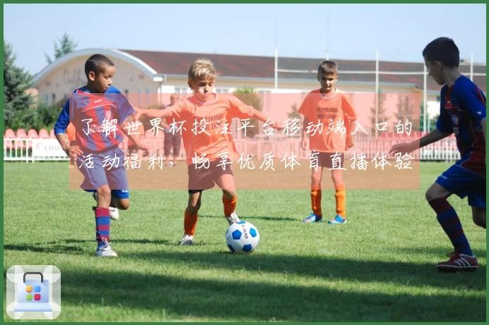 了解世界杯投注平台移动端入口的活动福利，畅享优质体育直播体验