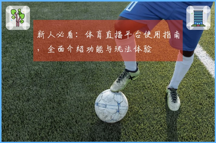 新人必看：体育直播平台使用指南，全面介绍功能与玩法体验